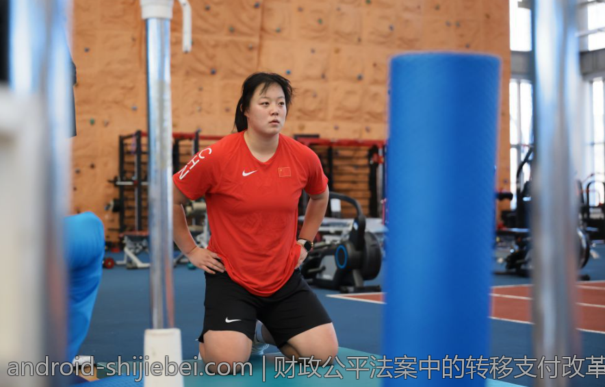财政公平法案中的转移支付改革探讨