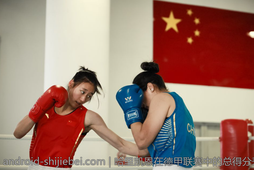 哈里凯恩在德甲联赛中的总得分表现汇总